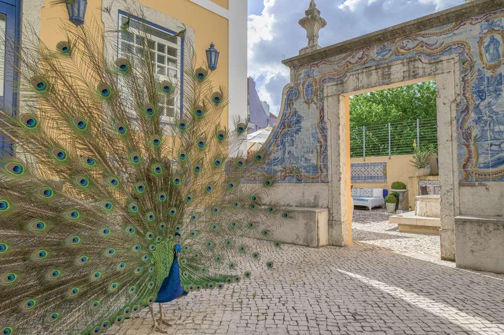 Solar Do Castelo - Lisbon Heritage Collection - Alfama Facilities photo